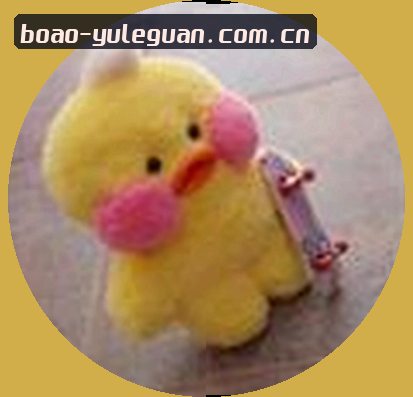 孙丽